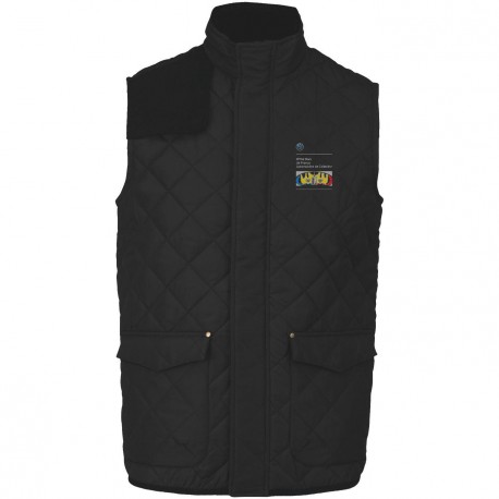 Bodywarmer matelasssé Homme BMW Auto Collection – BMW Club de France